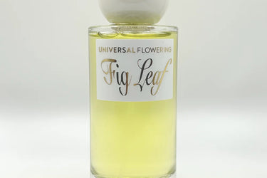 Universal Flowering Fig Leaf Eau de Parfum