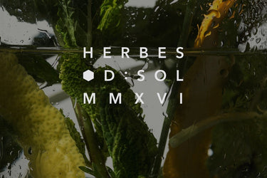 D:SOL MMXVI Herbes Eau de Parfum - Stéle