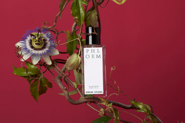Jorum Studio Phloem Eau de Parfum - Stèle